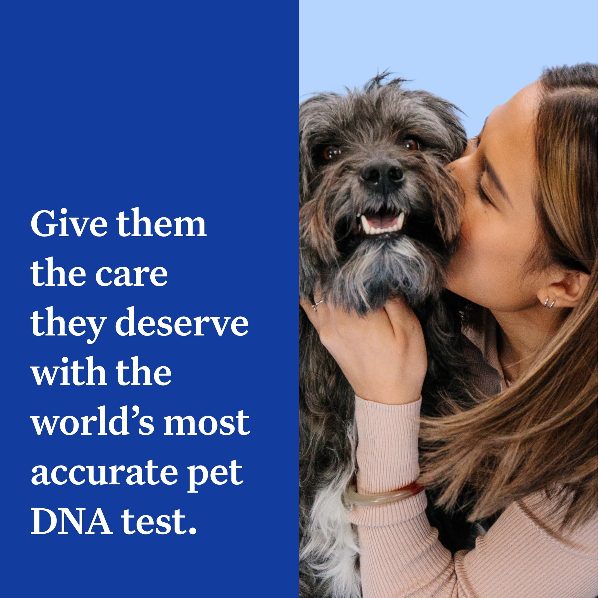 wisdom-panel-essential-dog-dna-test-kitbreed-health-insights-350-breeds-25-medical-conditions-accurate-ancestry-tracing-4526